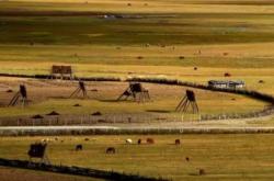 承德到赤峰網(wǎng)約車電話號碼