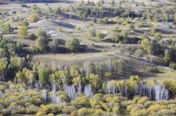 赤峰榆木桿子廠家電話地址查詢