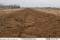 赤峰市收草機(jī)工廠電話號碼