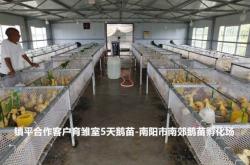 赤峰市養(yǎng)鵝場電話地址查詢