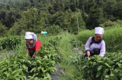 赤峰市水地鄉(xiāng)糧庫電話號碼是多少