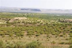 赤峰市林西拘留所電話號(hào)碼