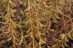 赤峰油料供應站電話號碼是多少