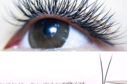 赤峰軍王紋繡店電話地址查詢