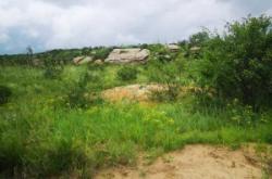 西烏到赤峰直達車電話號碼