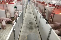 赤峰牧原繁殖場地址電話號(hào)碼