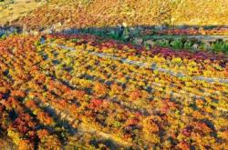 赤峰榮騰汽修電話多少號碼