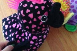 赤峰小鴨子批發(fā)電話地址查詢