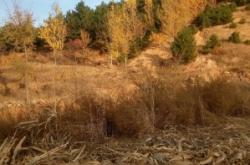 赤峰到寧城拼車