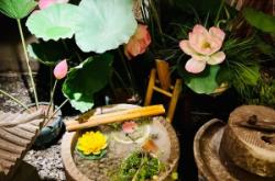 赤峰小波水族館地址電話號(hào)碼