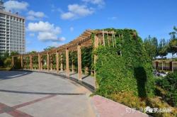 赤峰市烏丹大棚出租電話號碼