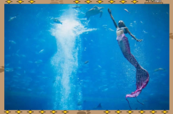 赤峰水族館訂票電話是多少號(hào)