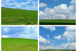 赤峰云鵬代駕電話號碼多少