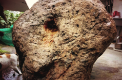 赤峰市隕石收藏家電話號碼