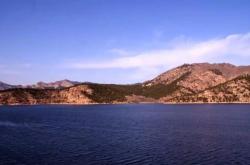 赤峰大福流浪救助站電話號碼