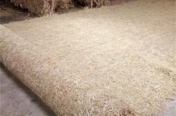 赤峰護坡噴草劑廠家電話號碼