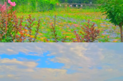 赤峰市修水罐車電話地址查詢