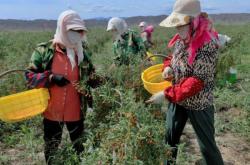 赤峰紅山區(qū)農(nóng)牧局電話號(hào)碼