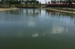 赤峰水泉玻璃廠電話號(hào)碼多少