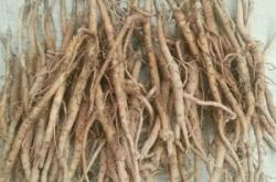 赤峰牡丹銷售電話號碼是多少號