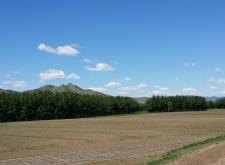 赤峰液化氣站點查詢電話號碼