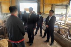 赤峰中糧屠宰場(chǎng)招聘電話號(hào)碼