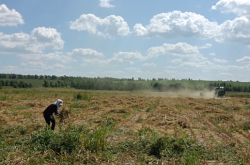 赤峰井關(guān)收割機(jī)電話號碼