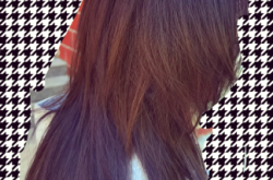 赤峰絕世美發(fā)電話多少號(hào)碼