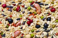 赤峰市區(qū)糟米格豆餅店電話號碼