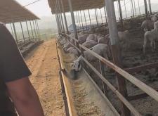 赤峰烏丹獸醫(yī)醫(yī)院電話是多少號