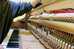 赤峰調(diào)律師傅電話多少號(hào)碼