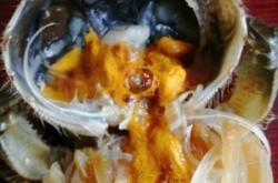 赤峰河蟹團(tuán)購電話多少號碼