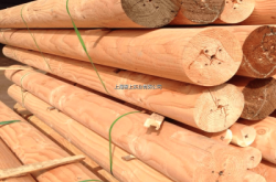 赤峰木龍骨批發(fā)市場電話號碼