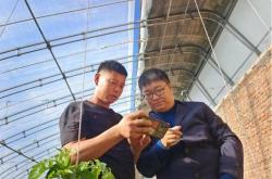 赤峰林東鎮(zhèn)社區(qū)電話號(hào)碼是多少