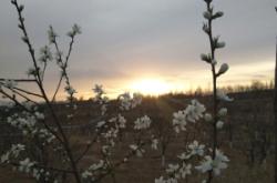 赤峰平莊張國洪診所電話號碼