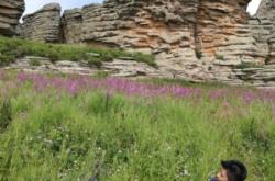 赤峰昭君博物館電話(huà)號(hào)碼查詢(xún)