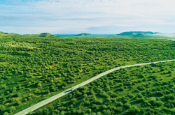 赤峰綠巨能公司