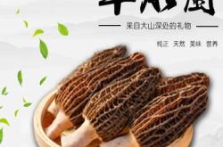 赤峰發(fā)酵菌種廠家電話號(hào)碼查詢