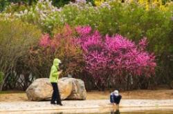 赤峰恩康醫(yī)療器械電話地址查詢