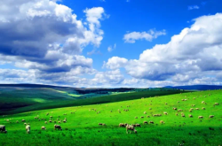 赤峰市鴻途教育地址電話號碼