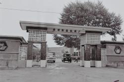 赤峰收碎頭發(fā)電話號碼是多少