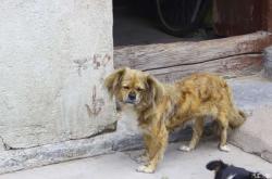 赤峰市艾家大院訂餐電話號碼