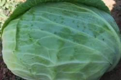 赤峰市蔬菜超市地址電話號(hào)碼