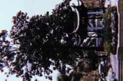 赤峰拾光電影工作室電話號碼