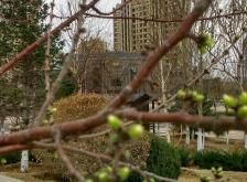 赤峰市巴林左旗電話區(qū)號(hào)是多少