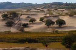 赤峰樹云農(nóng)家院地址電話號(hào)碼