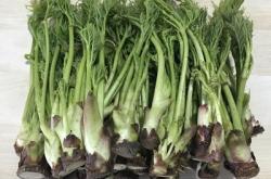 赤峰野生臭菜種植基地電話號碼