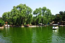 赤峰市新區(qū)植物園電話號(hào)碼