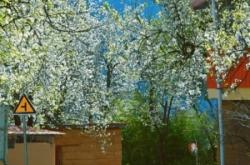 赤峰夕陽美旅行社地址電話號碼