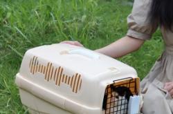 赤峰狗籠批發(fā)電話多少號(hào)